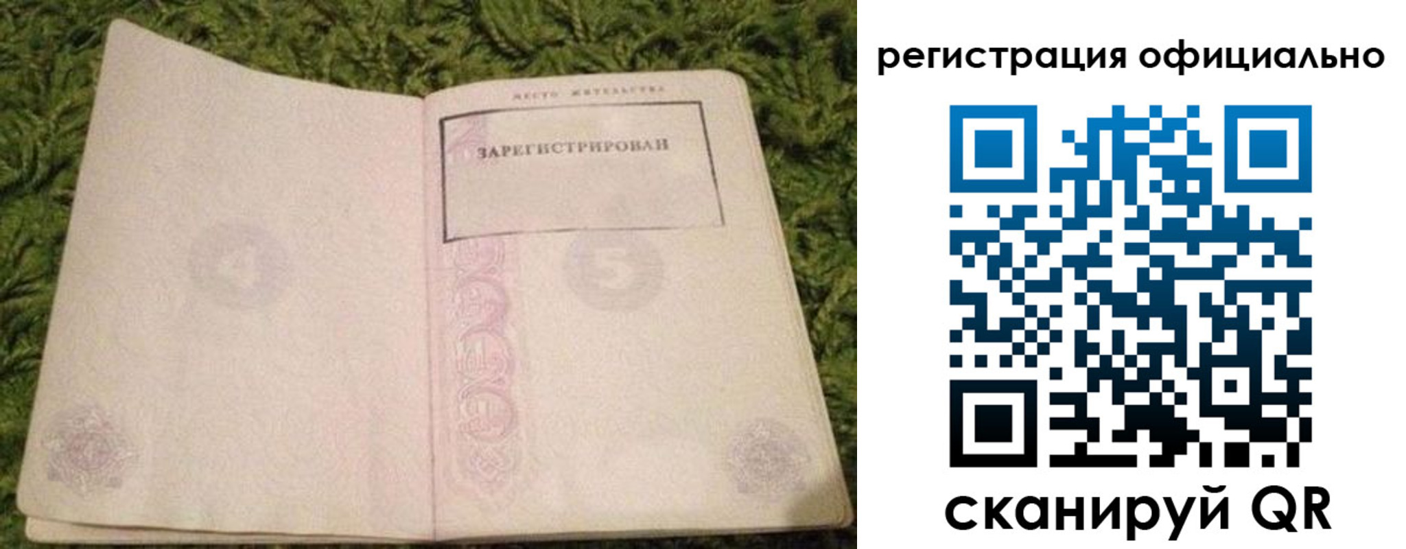 прописка ребенка в Королёве
